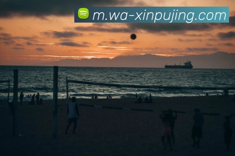 新葡京娱乐发展历程